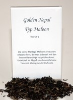 Golden Nepal Typ Maloon