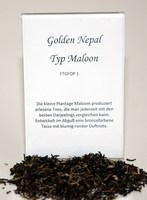 Golden Nepal Typ Maloon